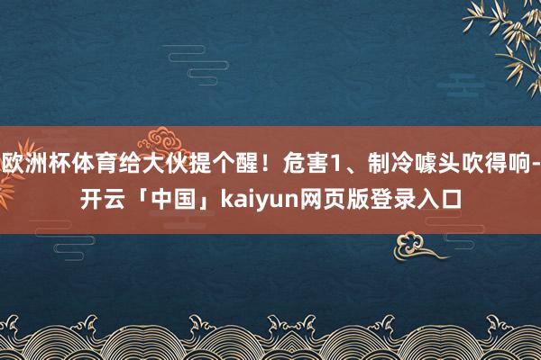 欧洲杯体育给大伙提个醒！危害1、制冷噱头吹得响-开云「中国」kaiyun网页版登录入口